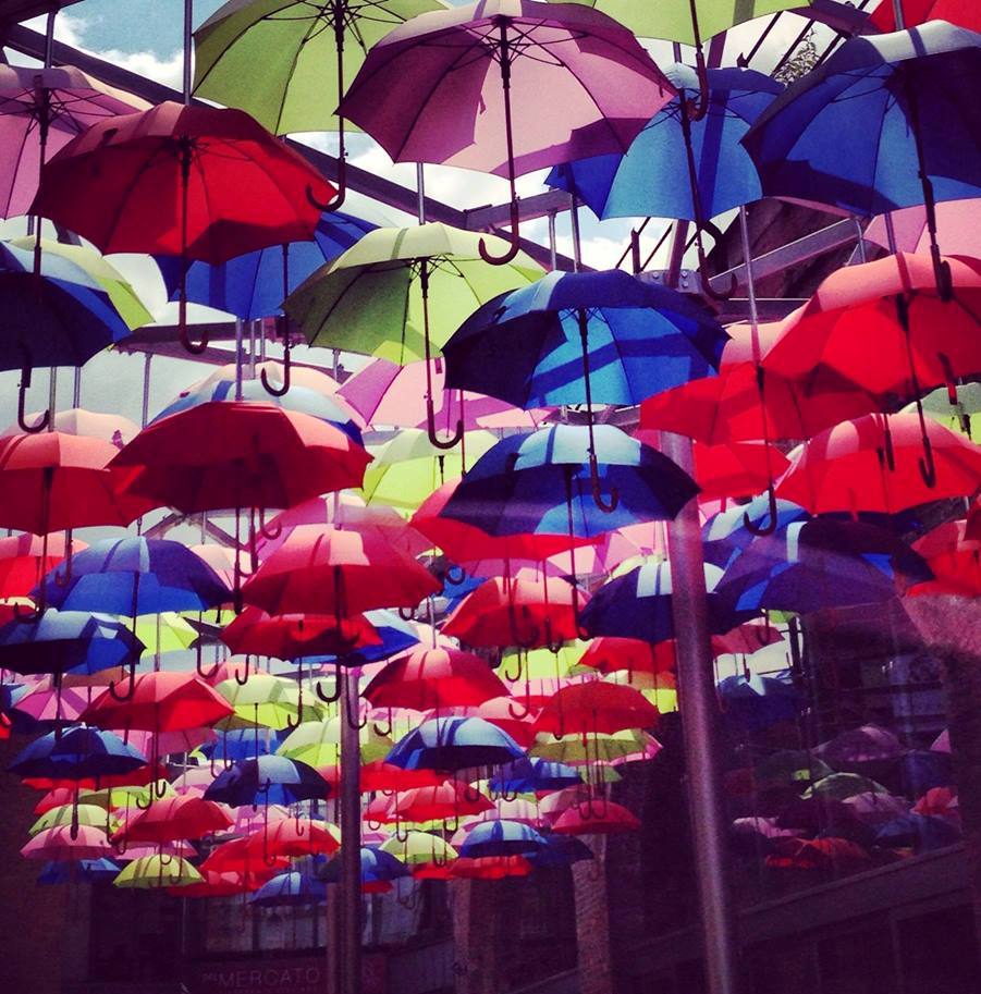 537133_683283655047143_1386311763_n