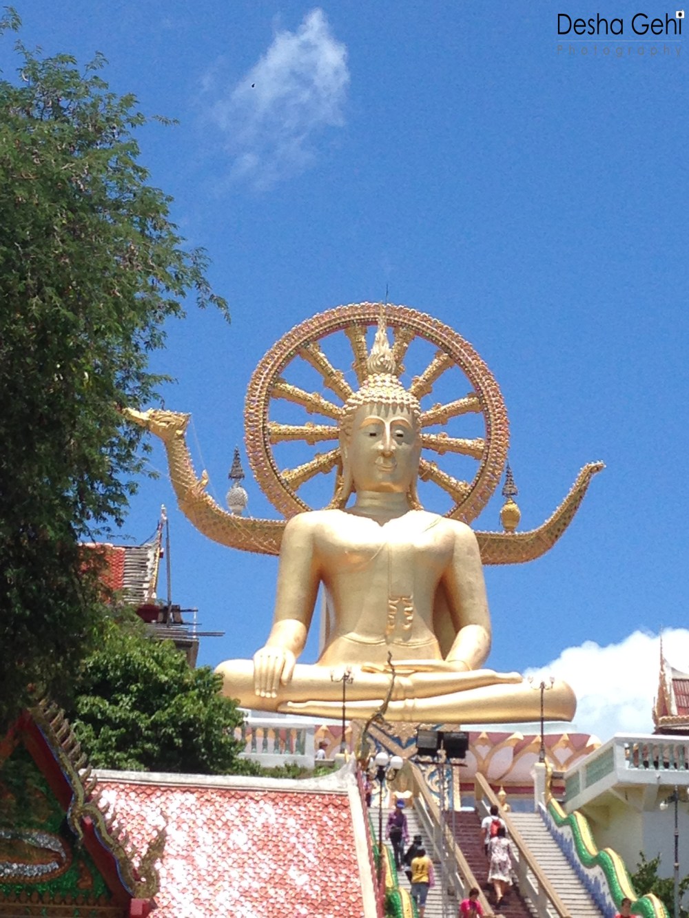 The Big Buddha (2)  copy.jpg