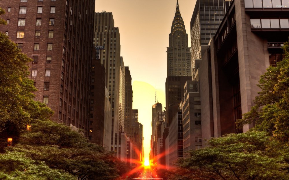 park-avenue-usa-big-apple-new-york-new-york-city.jpg